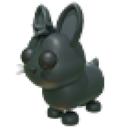Amami Rabbit Roblox item