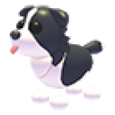 Border Collie Roblox item