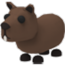 Capybara Roblox item