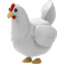Chicken Roblox item