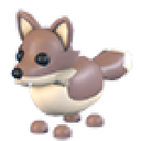 Coyote Roblox item