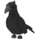 Crow Roblox item