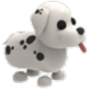 Dalmatian Roblox item