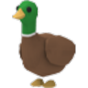 Drake Roblox item
