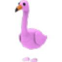 Flamingo Roblox item