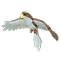 Hawk Roblox item
