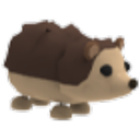Hedgehog Roblox item