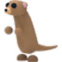 Meerkat Roblox item