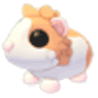 Red Dutch Guinea Pig Roblox item