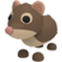 Shrew Roblox item