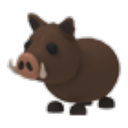 Wild Boar Roblox item