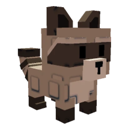 Raccoon Roblox item