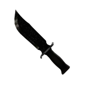 Coal Roblox item