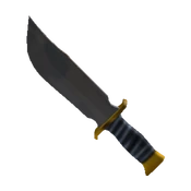 Linked Roblox item