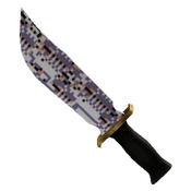 Missing Roblox item