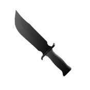 Stainless Roblox item