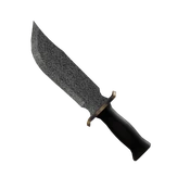 Static Roblox item